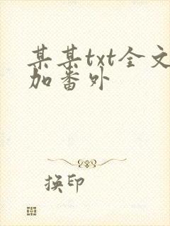某某txt全文加番外
