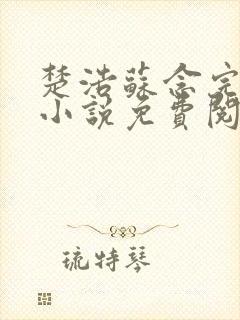 楚浩苏念完整版小说免费阅读封面