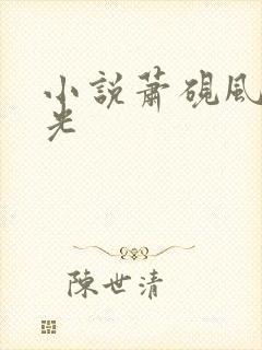 小说萧砚风阮瑶光