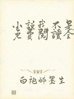 小说我不是戏神免费阅读全文无窗口封面