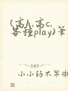 (高h,高c,各种play)笔趣阁