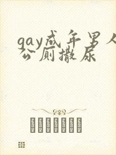 gay成年男人公厕撒尿