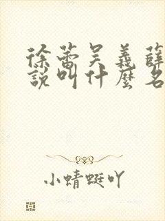 徐蕾吴义薛非小说叫什么名字封面