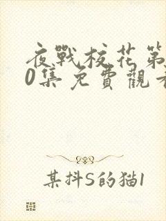 夜战校花第100集免费观看全集动漫封面