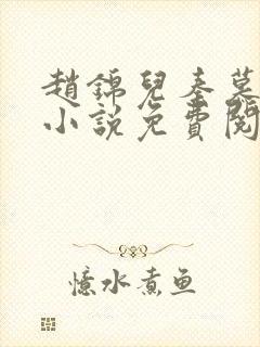 赵锦儿秦慕修的小说免费阅读全文封面