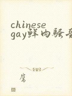 chinesegay鲜肉骚受