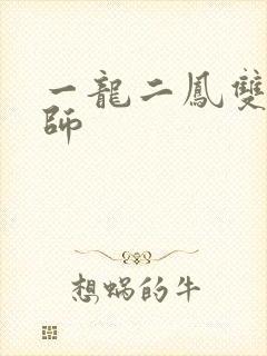 一龙二凤双飞老师