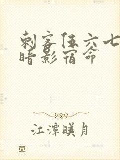 刺客伍六七4季暗影宿命