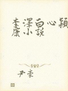 李泽白心颖陆伟康小说