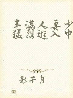 丰满人妻少妇被猛烈进入中文字幕