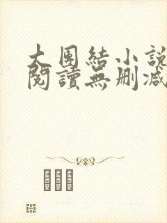 大团结小说在线阅读无删减