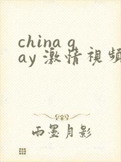 china gay 激情视频封面