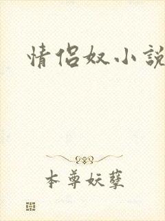 情侣奴小说封面