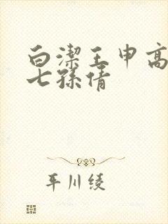 白洁王申高义老七孙倩封面