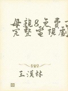 母亲8免费高清完整电视剧