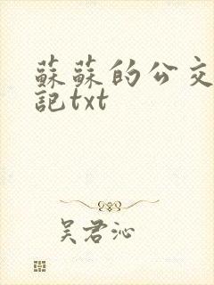 苏苏的公交车日记txt封面