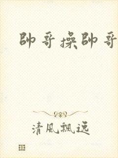 帅哥操帅哥好爽封面