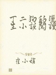 丁二狗的猎艳人生小说阅读