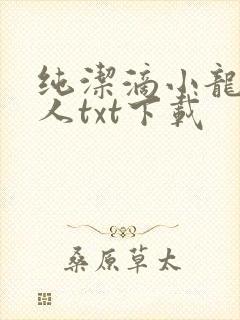 纯洁滴小龙捞尸人txt下载