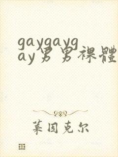 gaygaygay男男裸体封面