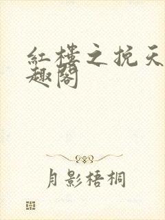 红楼之挽天倾笔趣阁