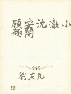 顾安沈澈小说笔趣阁