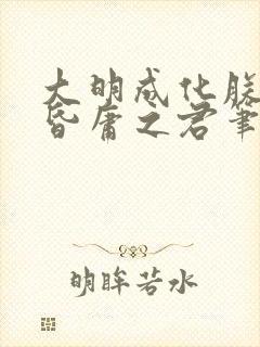 大明成化朕就是昏庸之君笔趣阁封面