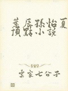 叶辰孙怡夏若雪顶点小说