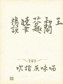 杨晓芬和王磊小说笔趣阁