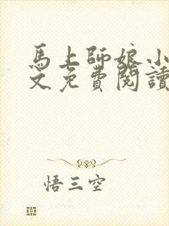 马上师娘小说全文免费阅读最新章节封面