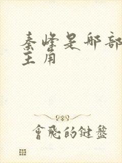 秦峰是哪部小说主角