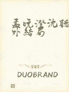 孟晚澄沈听澜番外结局