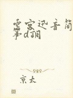 云宫迅音简谱古筝d调