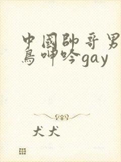 中国帅哥男同大鸟呻吟gay封面