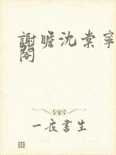 谢瞻沈棠宁笔趣阁封面