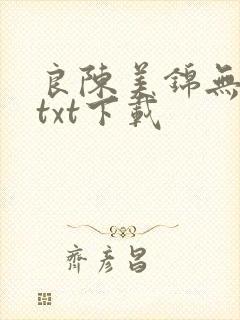 良陈美锦无删减txt下载
