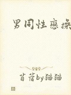 男同性恋操男人