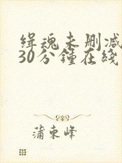 缉魂未删减版130分钟在线观看