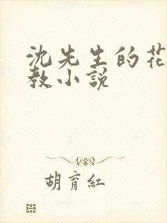 沈先生的花式管教小说