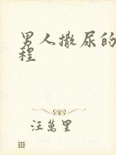 男人撒尿的全过程