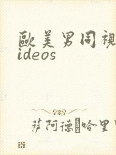 欧美男同视频videos