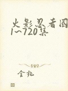 火影忍者国语版1~720集