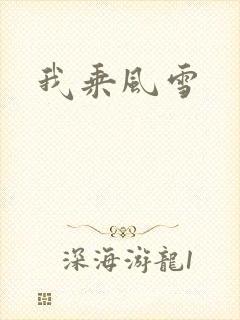 我乘风雪封面
