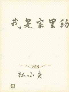 我是家里的皇帝封面