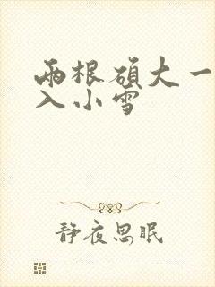 两根硕大一起挤入小雪