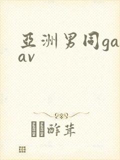 亚洲男同gayav