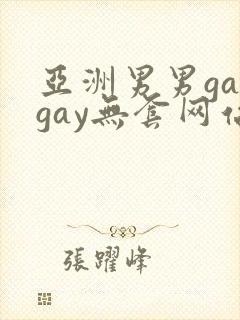 亚洲男男gaygay无套网站封面