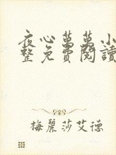 夜心万万小说完整免费阅读全文