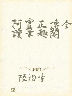 阿宾正传全文阅读笔趣阁封面