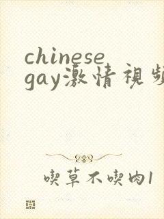 chinesegay激情视频